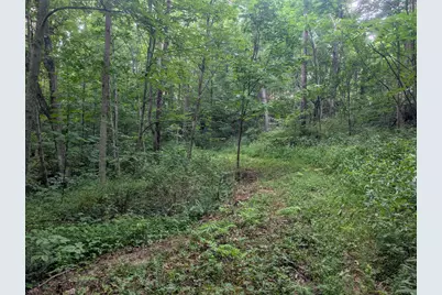 0 Tract D E. Reinersville Road, McConnelsville, OH 43756 - Photo 14