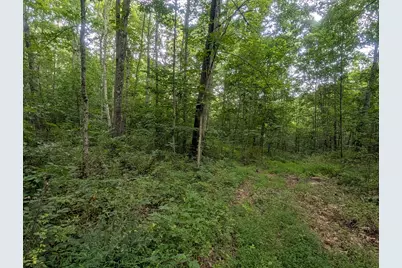 0 Tract D E. Reinersville Road, McConnelsville, OH 43756 - Photo 12