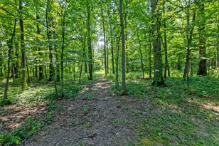 579 N County Line Rd, Sunbury, OH 43074 - Photo 66
