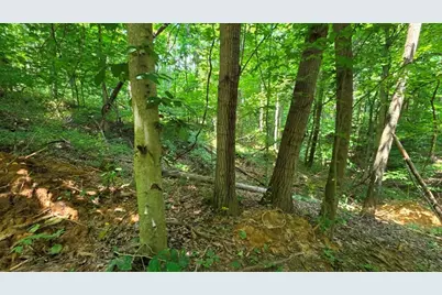 0 Dennis Lane #(Tract 2 at Muskingum Woods), Zanesville, OH 43701 - Photo 16