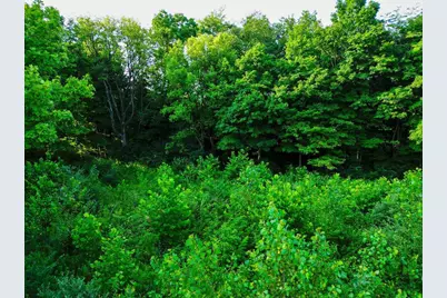 3292 State Route 229, Marengo, OH 43334 - Photo 4