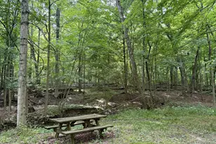 12761 Old Mansfield Rd, Mount Vernon, OH 43050 - Photo 4