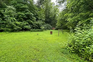 165 Swift Creek Rd, Beaver, OH 45613 - Photo 10