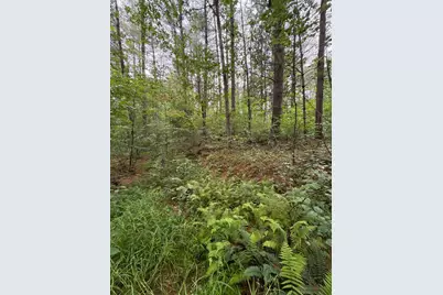165 Swift Creek Road, Beaver, OH 45613 - Photo 16