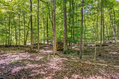7319 Bridlespur Lane, Delaware, OH 43015 - Photo 74