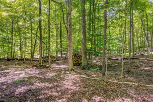 7319 Bridlespur Ln, Delaware, OH 43015 - Photo 74