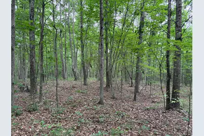 0 Township Road 532, Oak Hill, OH 45656 - Photo 14