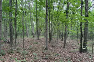 0 Township Road 532, Oak Hill, OH 45656 - Photo 14