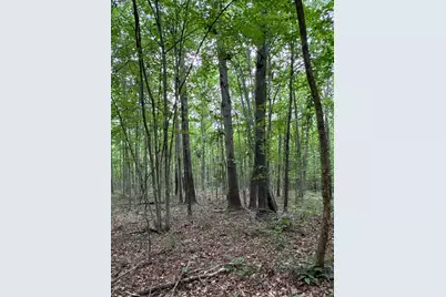 0 Township Road 532, Oak Hill, OH 45656 - Photo 16