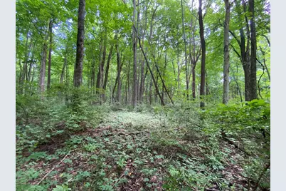 1010 W Herr Road, Urbana, OH 43078 - Photo 42