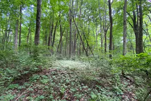 1010 W Herr Rd, Urbana, OH 43078 - Photo 42