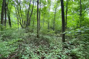 1010 W Herr Rd, Urbana, OH 43078 - Photo 46