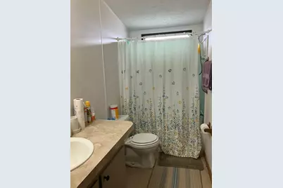 46 Birch Row Drive, Delaware, OH 43015 - Photo 14
