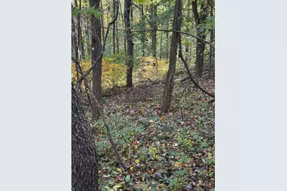 9600 Larimer Road, Logan, OH 43138 - Photo 54
