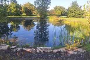 4981 Benzler Rd, Marion, OH 43302 - Photo 22