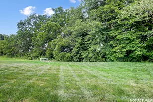 4379 Black Ash Dr, Canal Winchester, OH 43110 - Photo 32