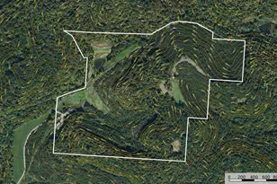 34130 Burney Hollow Rd, Rutland, OH 45775 - Photo 8