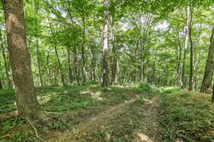 34130 Burney Hollow Rd, Rutland, OH 45775 - Photo 96