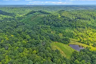 34130 Burney Hollow Rd, Rutland, OH 45775 - Photo 98