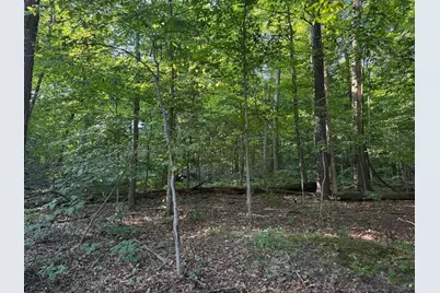 355 Green Hollow Drive SW, Pataskala, OH 43062 - Photo 4