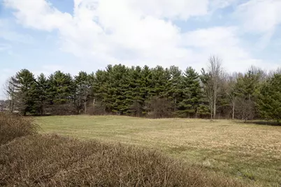 6828 Bevelhymer Road, New Albany, OH 43054 - Photo 16
