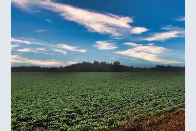 0 Township Road 114, Mount Gilead, OH 43338 - Photo 1