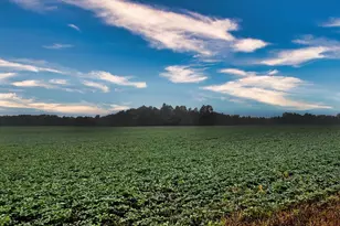 0 Township Road 114, Mount Gilead, OH 43338 - Photo 1