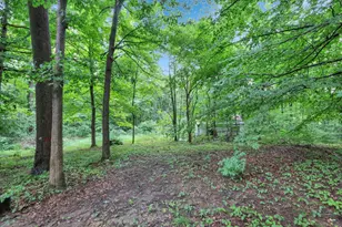 3557 E State Route 60 NE, McConnelsville, OH 43756 - Photo 90