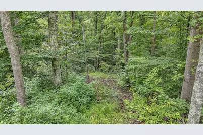 57859 N Branch Road, South Bloomingville, OH 43152 - Photo 8