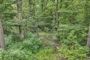57859 N Branch Rd, South Bloomingville, OH 43152 - Photo 8
