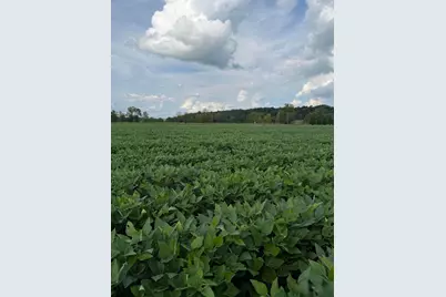 0 Mt. Zwingli Road SE #Lot D, Bremen, OH 43107 - Photo 4