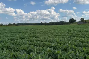 0 Mt Zwingli Road SE, Bremen, OH 43107 - Photo 1