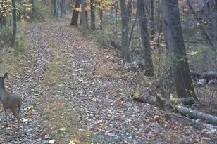 35047 Clay Hill Rd, Logan, OH 43138 - Photo 28