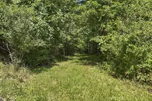 16451 Cox Rd, Logan, OH 43138 - Photo 46