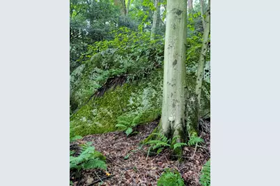 24639 Ohio 180, Rockbridge, OH 43149 - Photo 10