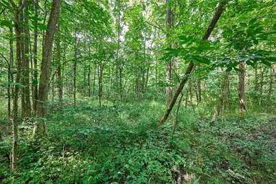 0 Ohio 95, Bellville, OH 44813 - Photo 14