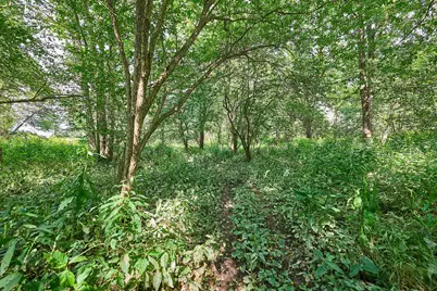 0 Ohio 95, Bellville, OH 44813 - Photo 22