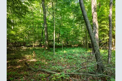 0 Sycamore Road, Centerburg, OH 43011 - Photo 48