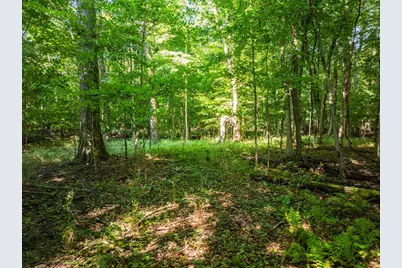 0 Sycamore Road, Centerburg, OH 43011 - Photo 46
