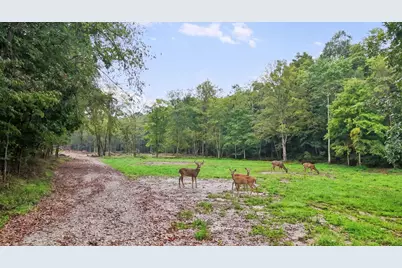 7575 Township Road 58, Somerset, OH 43783 - Photo 8