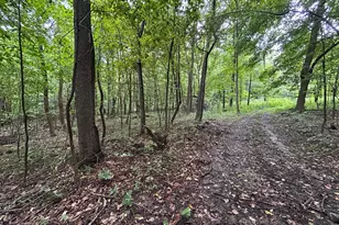 5198 McKinney Crossing Rd NE, Newark, OH 43055 - Photo 54