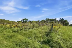 5517 Twp Rd 117, Mount Gilead, OH 43338 - Photo 66