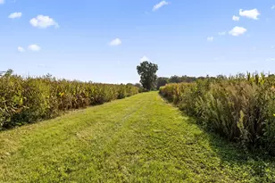 13450 Hoover Rd, Ashville, OH 43103 - Photo 24