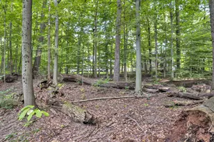 5101 Hawthorne Valley Dr, Westerville, OH 43082 - Photo 114