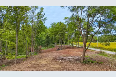 6891 County Road 109, Mount Gilead, OH 43338 - Photo 4