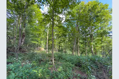 557 Hillsdale Drive, Coshocton, OH 43812 - Photo 28