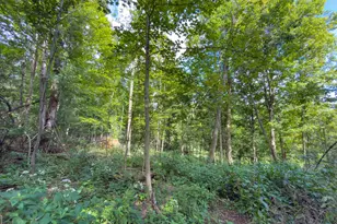 557 Hillsdale Dr, Coshocton, OH 43812 - Photo 28