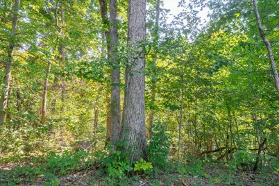 0 County Rd 269, Glouster, OH 45732 - Photo 74