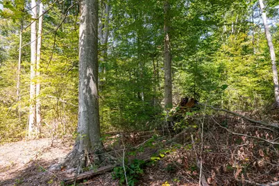 0 County Rd 269, Glouster, OH 45732 - Photo 100