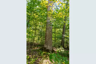 0 County Rd 269, Glouster, OH 45732 - Photo 80